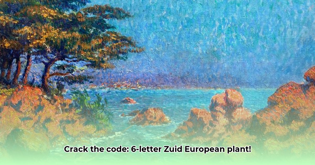 zuid-europese-plant-6-letters
